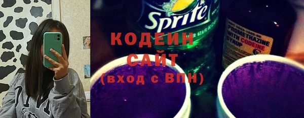 индика Вязьма