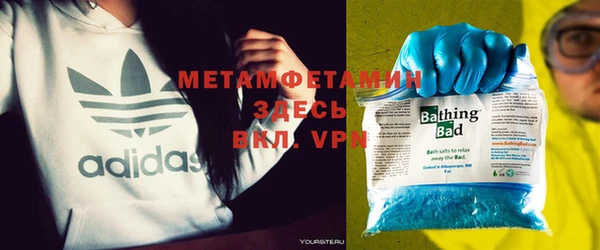индика Вязьма