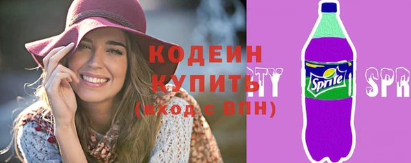 mdpv Вяземский