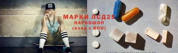 индика Вязьма
