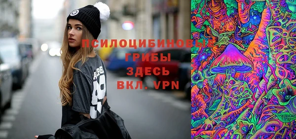 индика Вязьма