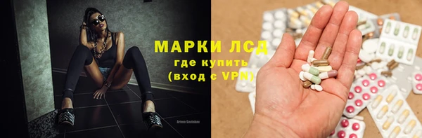 mdpv Вяземский