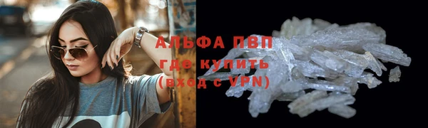 индика Вязьма