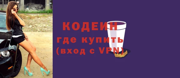 индика Вязьма