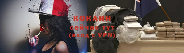 индика Вязьма