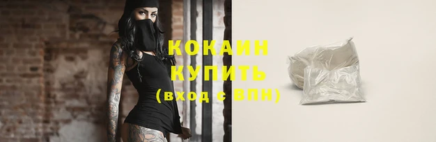 mdpv Вяземский