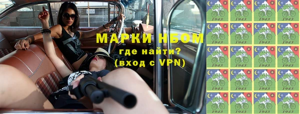 индика Вязьма