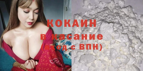 индика Вязьма