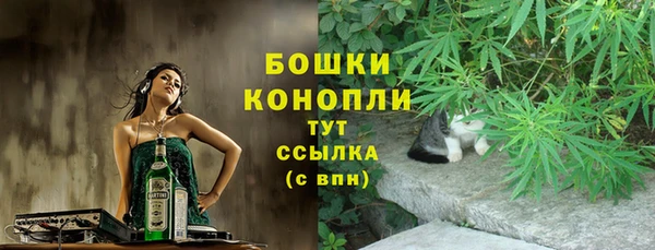 молекула духа Вязники