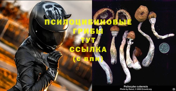 индика Вязьма