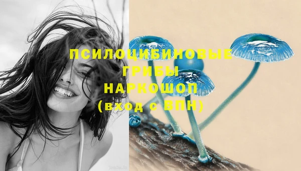 молекула духа Вязники